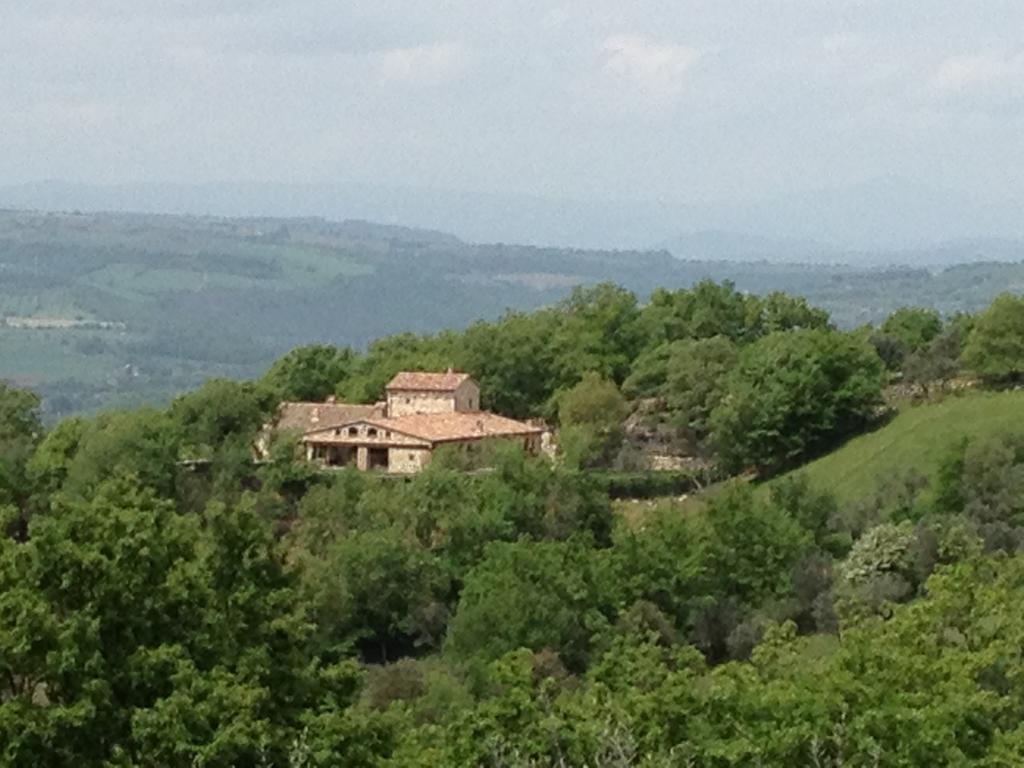 Luxury Villa Colle Dell'Asinello ,Proprietari ,Villa In Esclusiva Near Orvieto Guardea ห้อง รูปภาพ