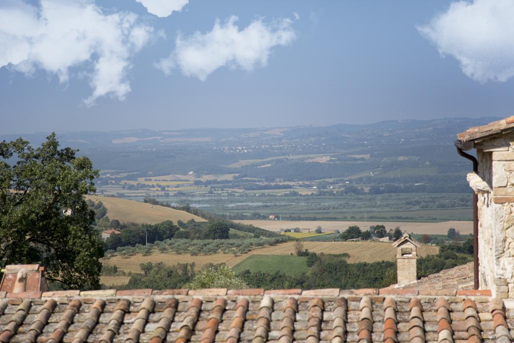 Luxury Villa Colle Dell'Asinello ,Proprietari ,Villa In Esclusiva Near Orvieto Guardea ภายนอก รูปภาพ