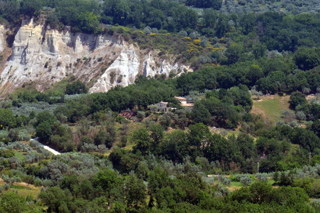 Luxury Villa Colle Dell'Asinello ,Proprietari ,Villa In Esclusiva Near Orvieto Guardea ภายนอก รูปภาพ